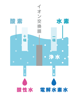 電解水素水生成器